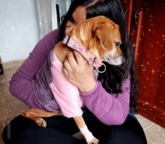 1000031216.gif