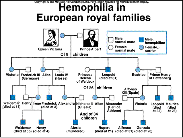 hemophilia.gif