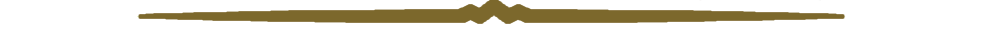 Orange horisontal.png