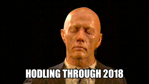 hodling_through_2018.gif