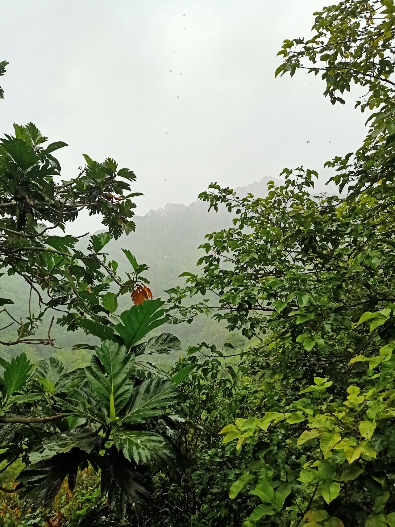 IMG20210909135135.jpg