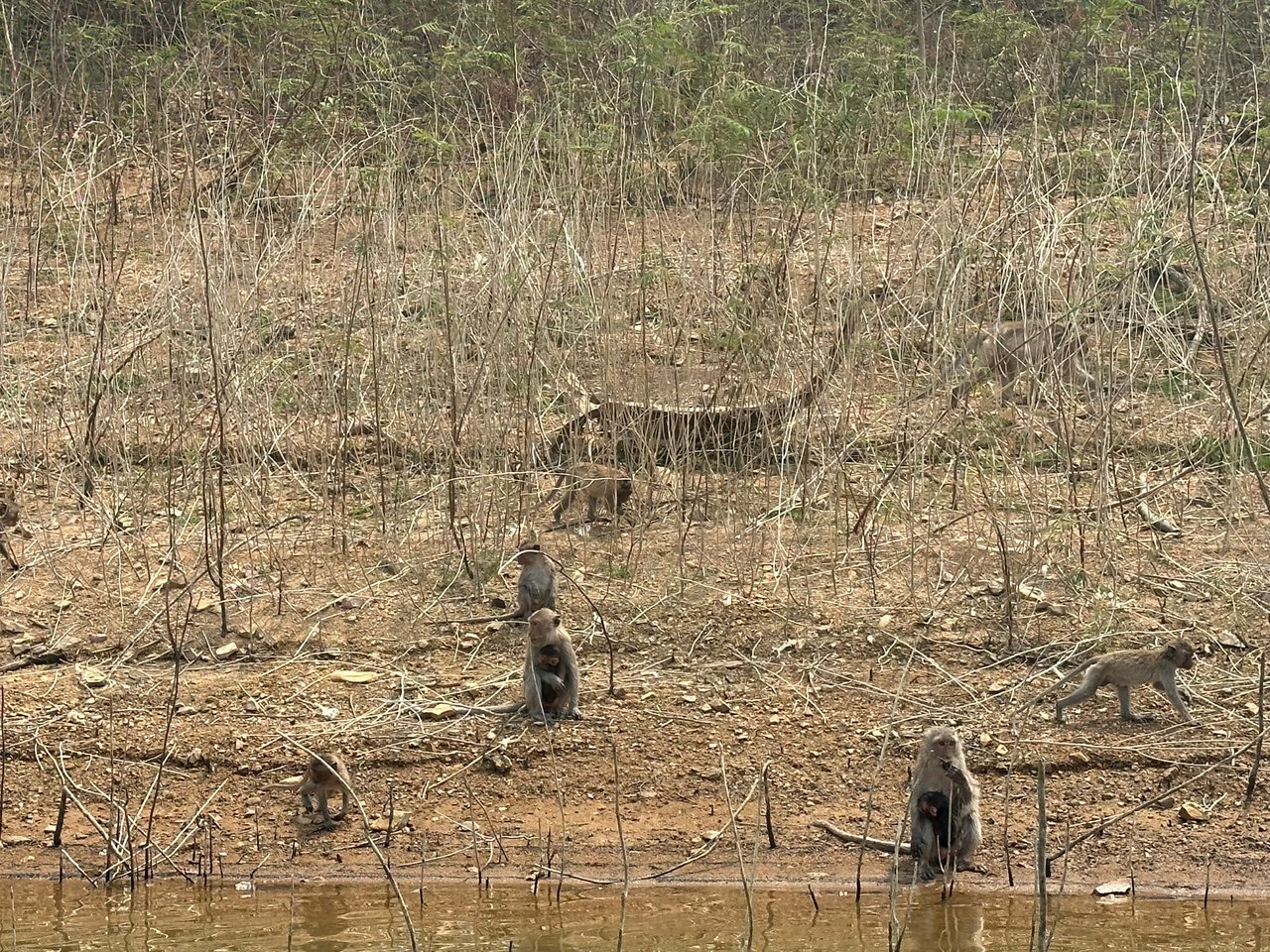 Kaeng Krachan3.jpg