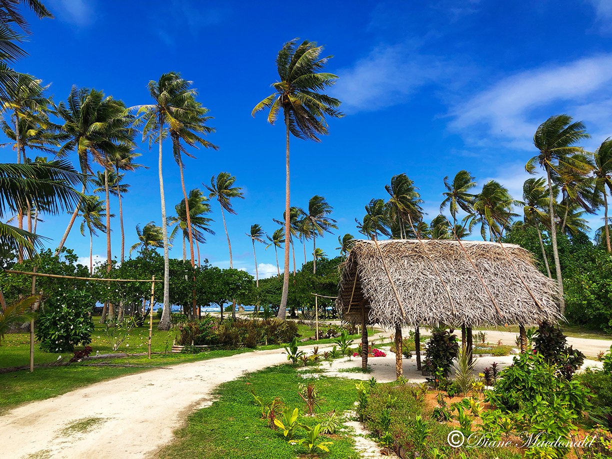 roadway marae anini.jpg