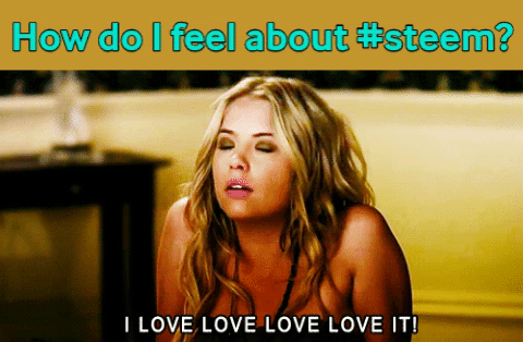 how do I feel about steem - love it, PLL.gif