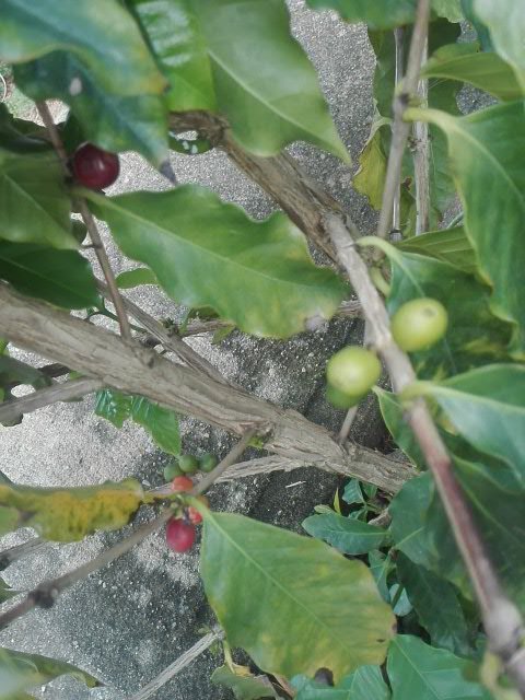 PHOTO_20210909_113220.jpg