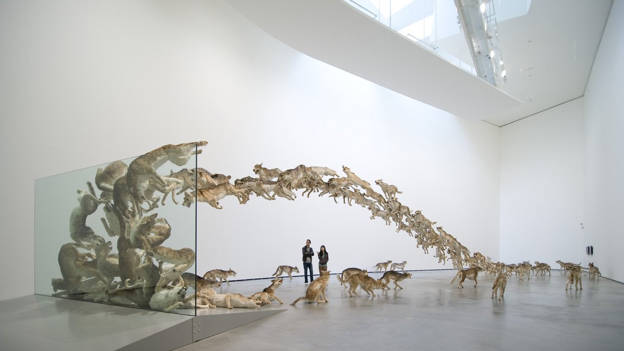 Инсталляция_Cai-Guo-Qiang_01.jpg