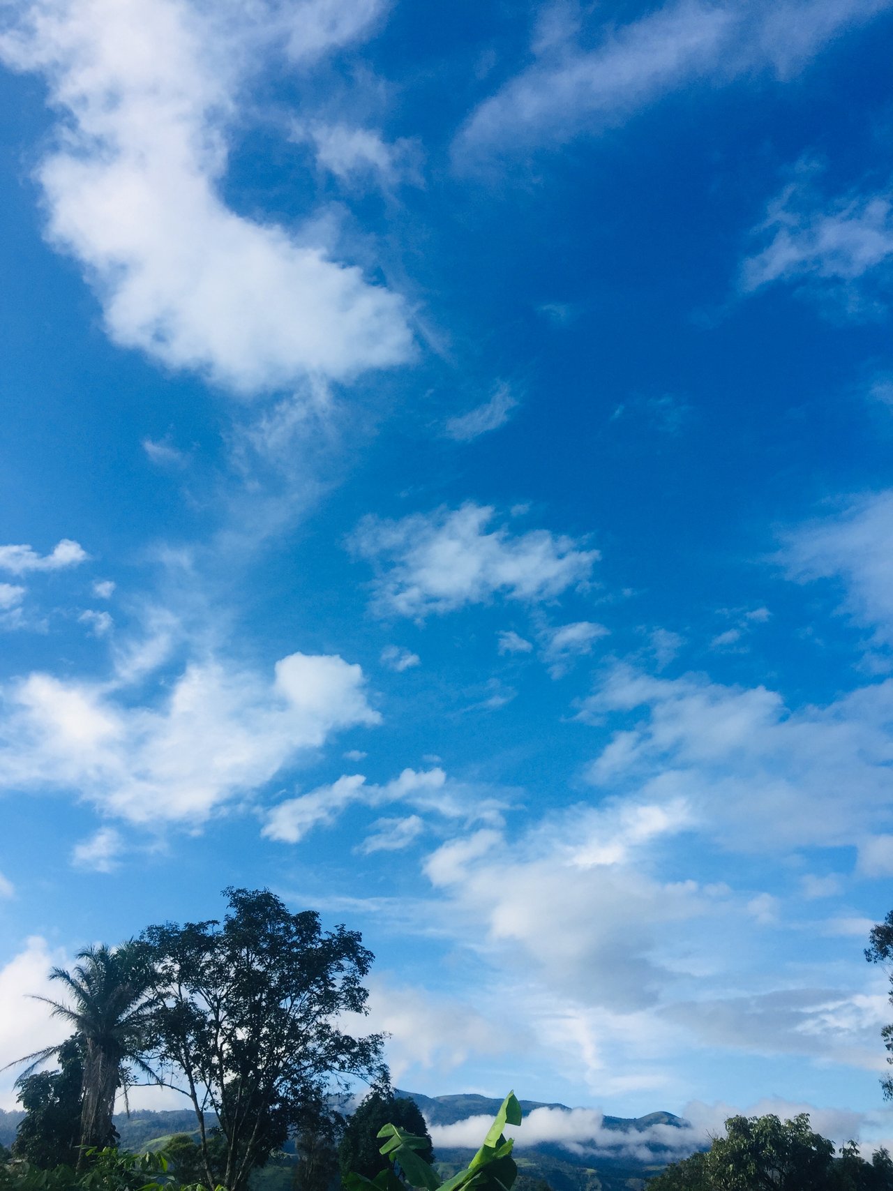 F3F30A6D-ADE6-402D-86A7-7DED105F088B.jpeg