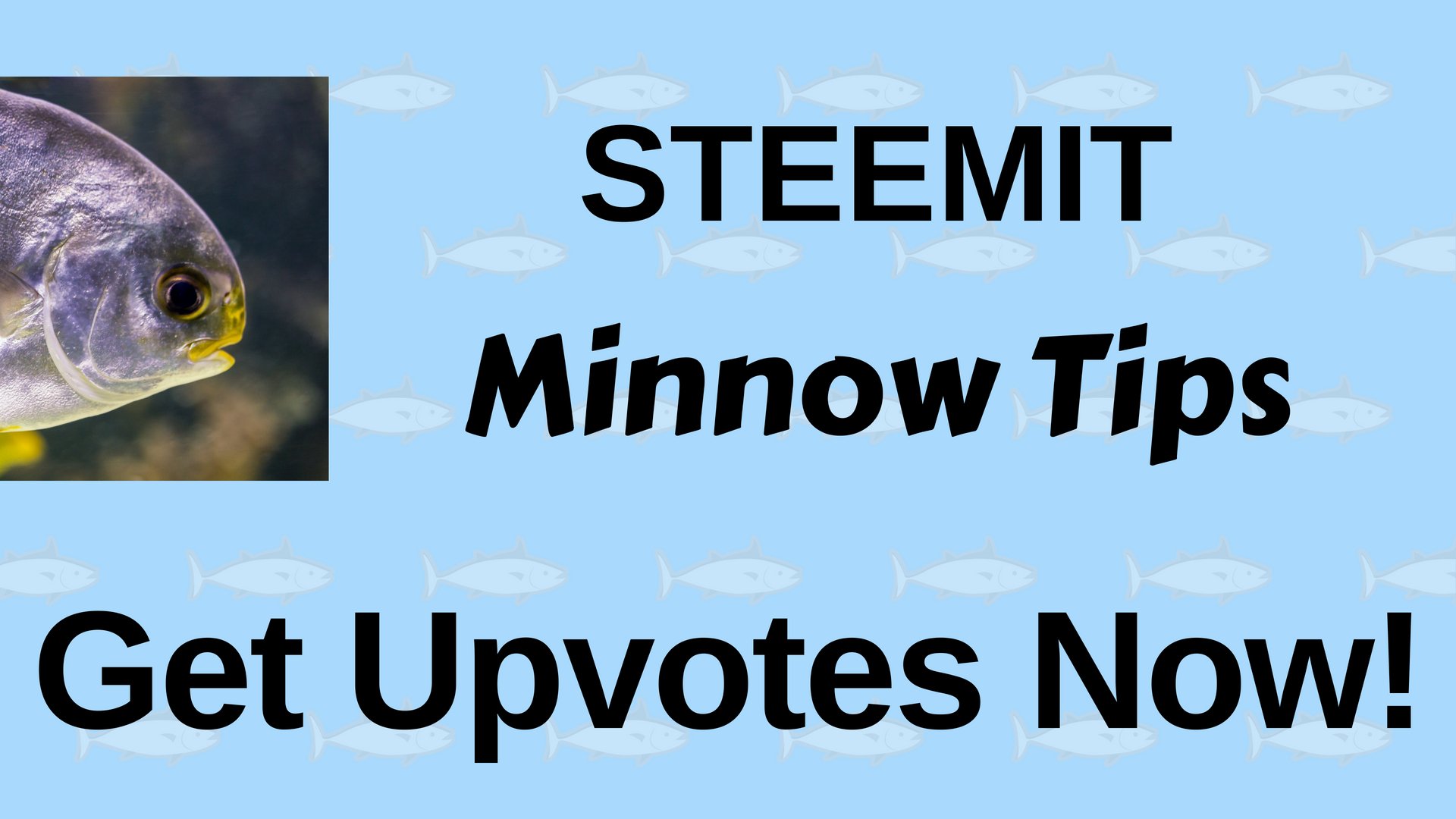 steemit minnow tips get upvotes now fitinfun.jpg