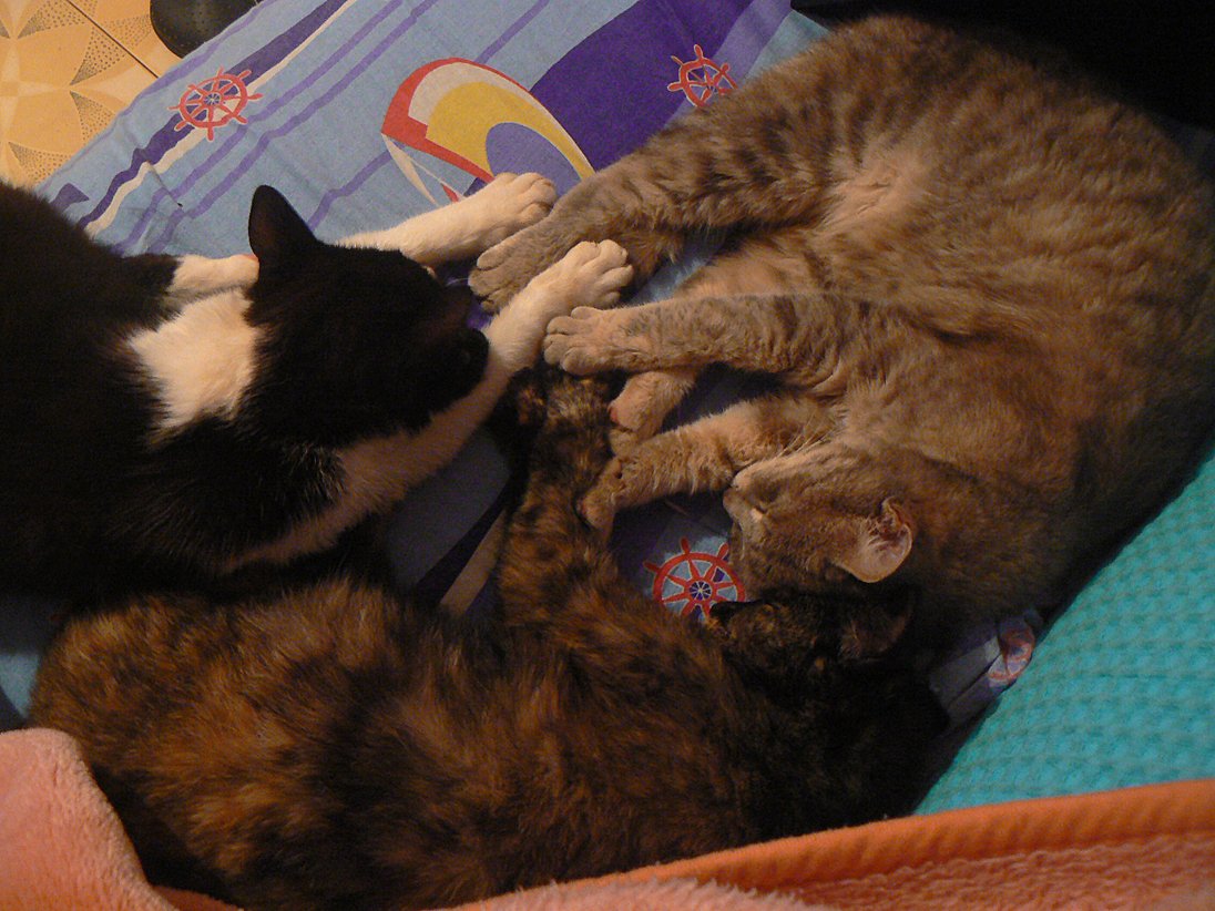 P1900399 samoMALO.jpg
