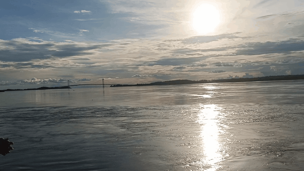1000051103.gif