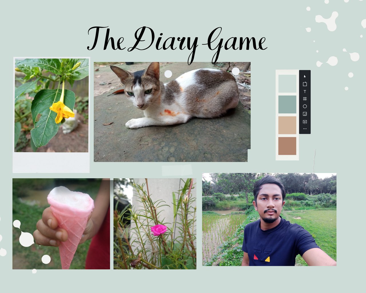 The Diary Game_20230905_224617_0000.jpg