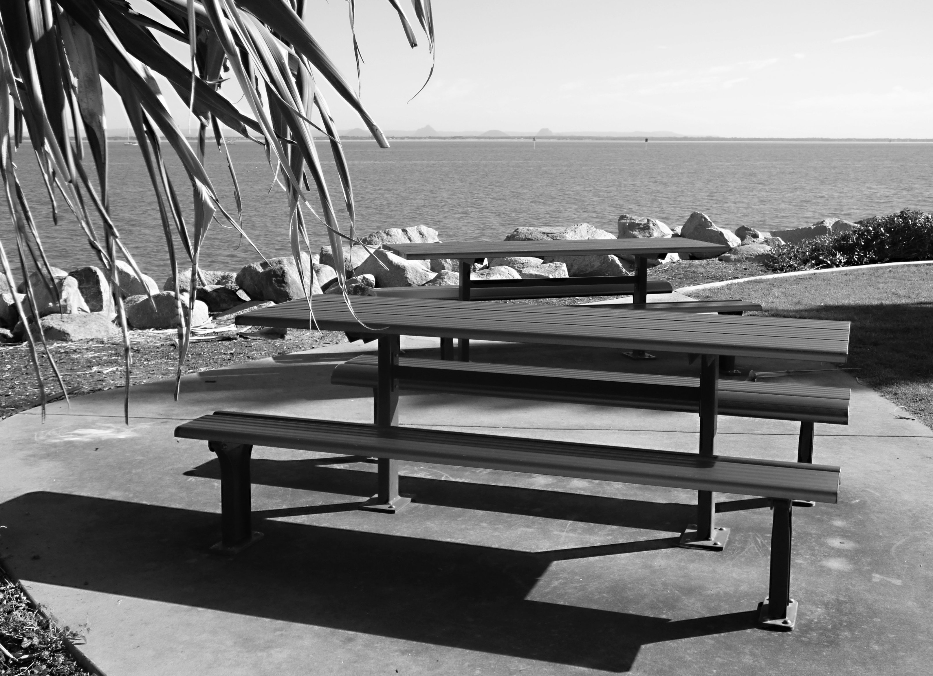 E Pause a while BnW.jpg