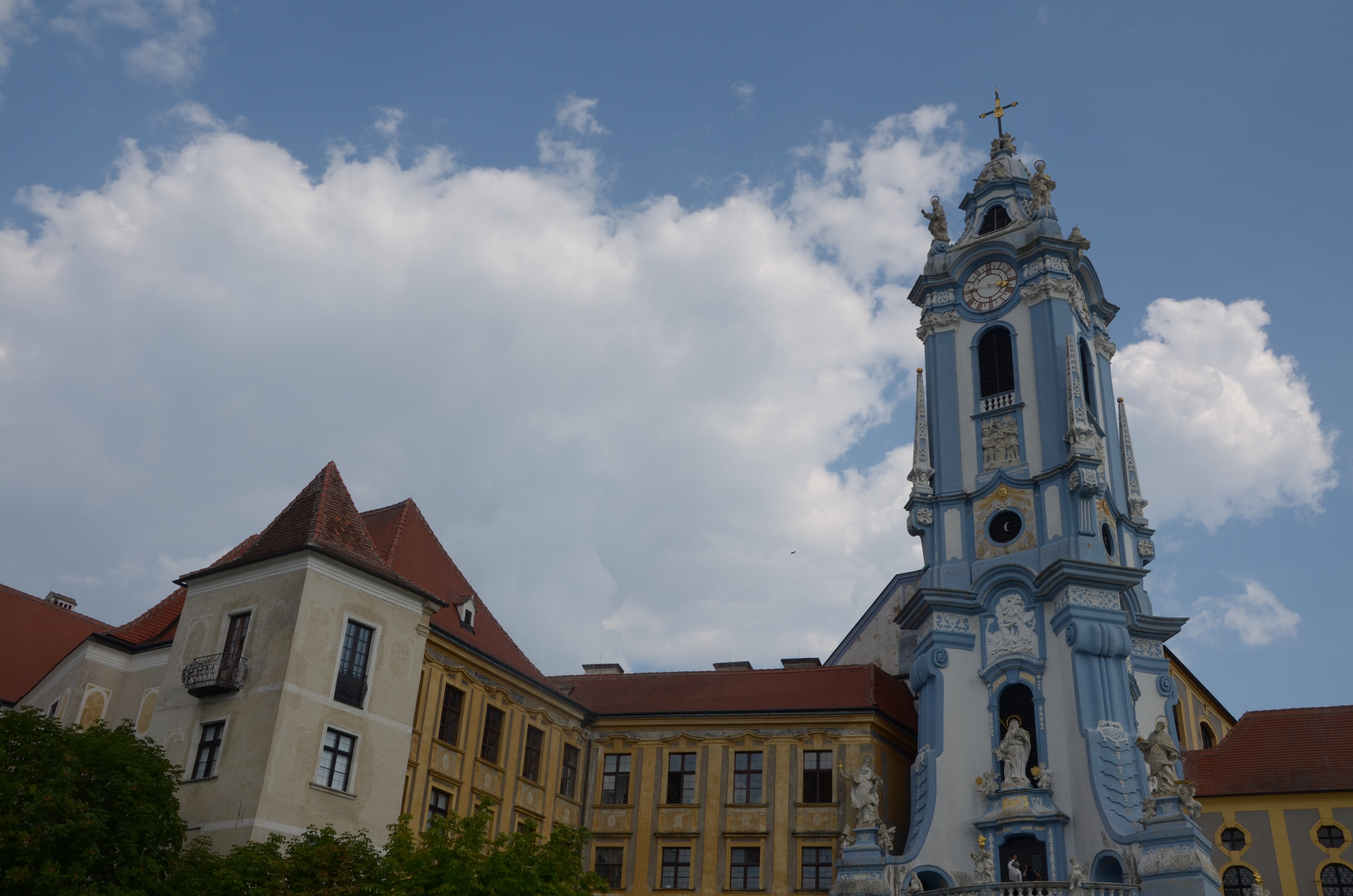 DSC_5584.JPG