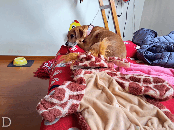 1000014539.gif