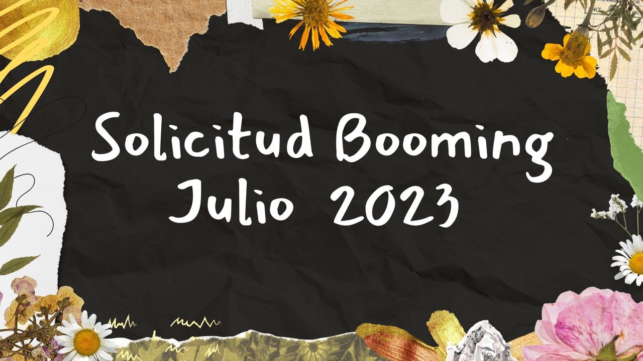 Solicitud Booming Julio 2023.jpg