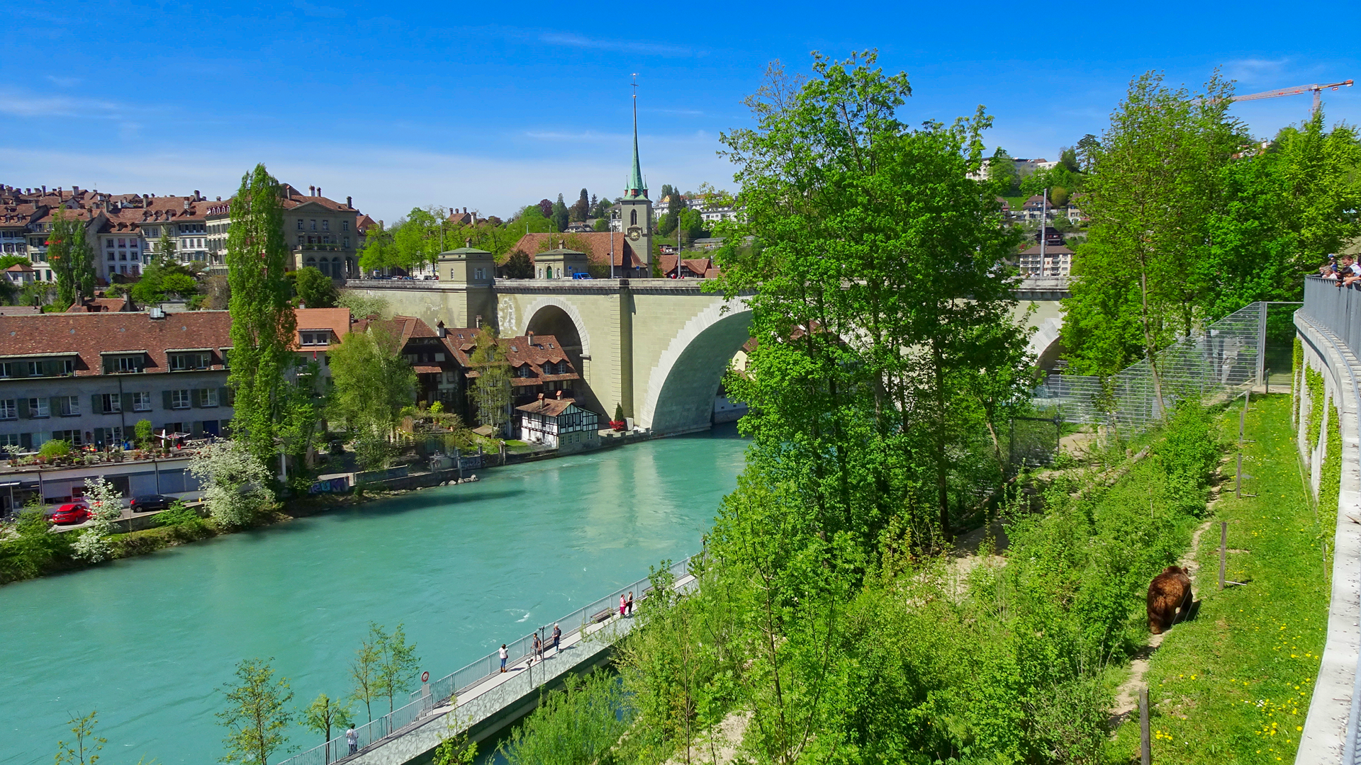 Visiting Bearpark Bern Switzerland 4 Photos Tips Steemkr