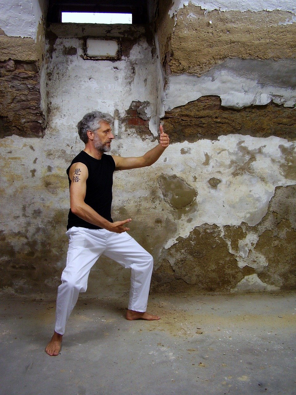 tai-chi-1235273_1280.jpg