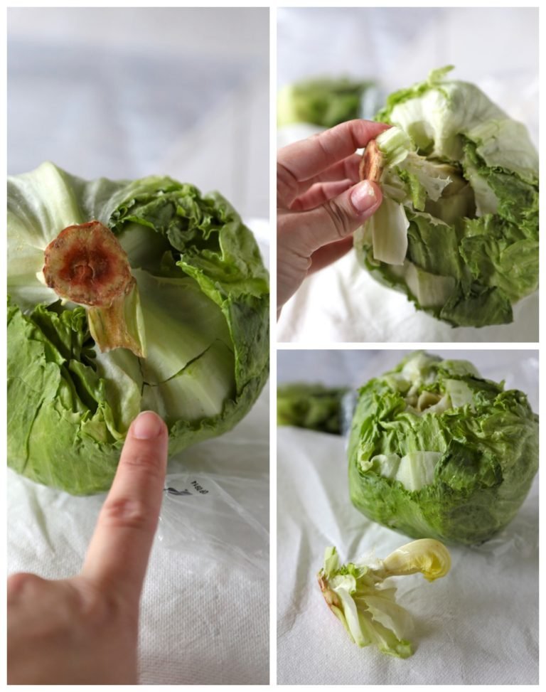 How-to-Keep-Lettuce-Fresh-www.countrycleaver.com-2-768x973.jpg