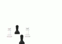 chessgif2.gif