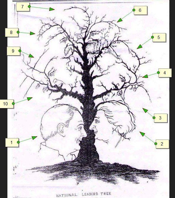 tree.jpg