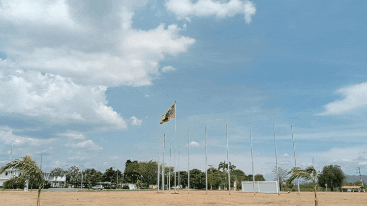 GIF_20250507_155108_543.gif