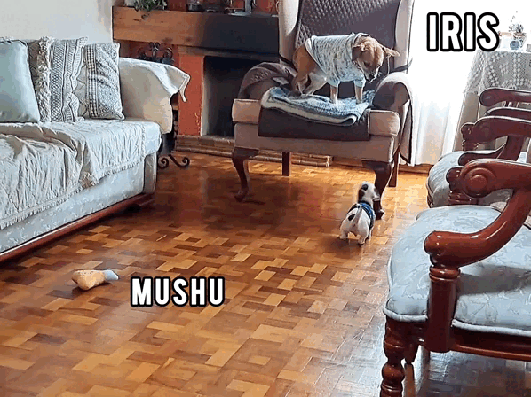 1000023501.gif