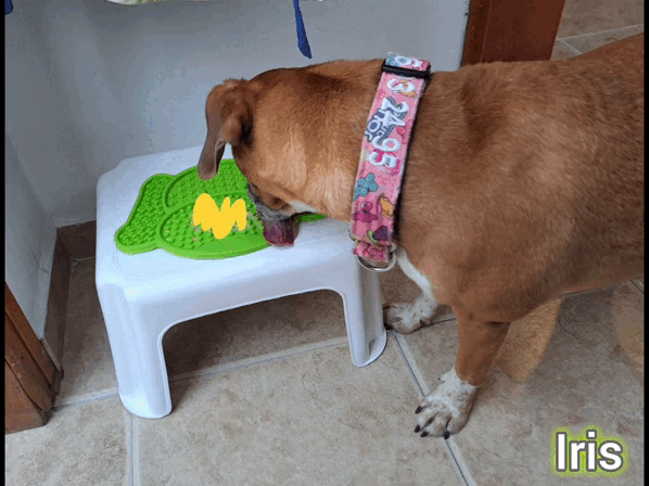 1000010654.gif