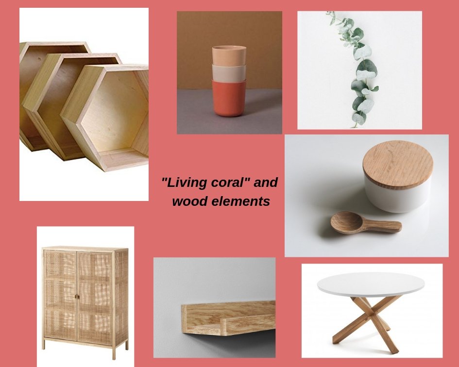 _Living coral_ and wood elements moodboard.jpg