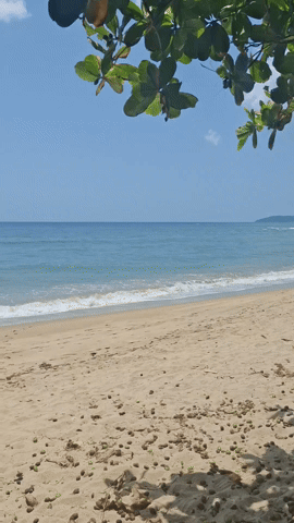 1000220433.gif