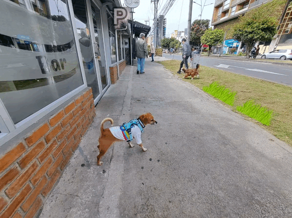 1000026772.gif