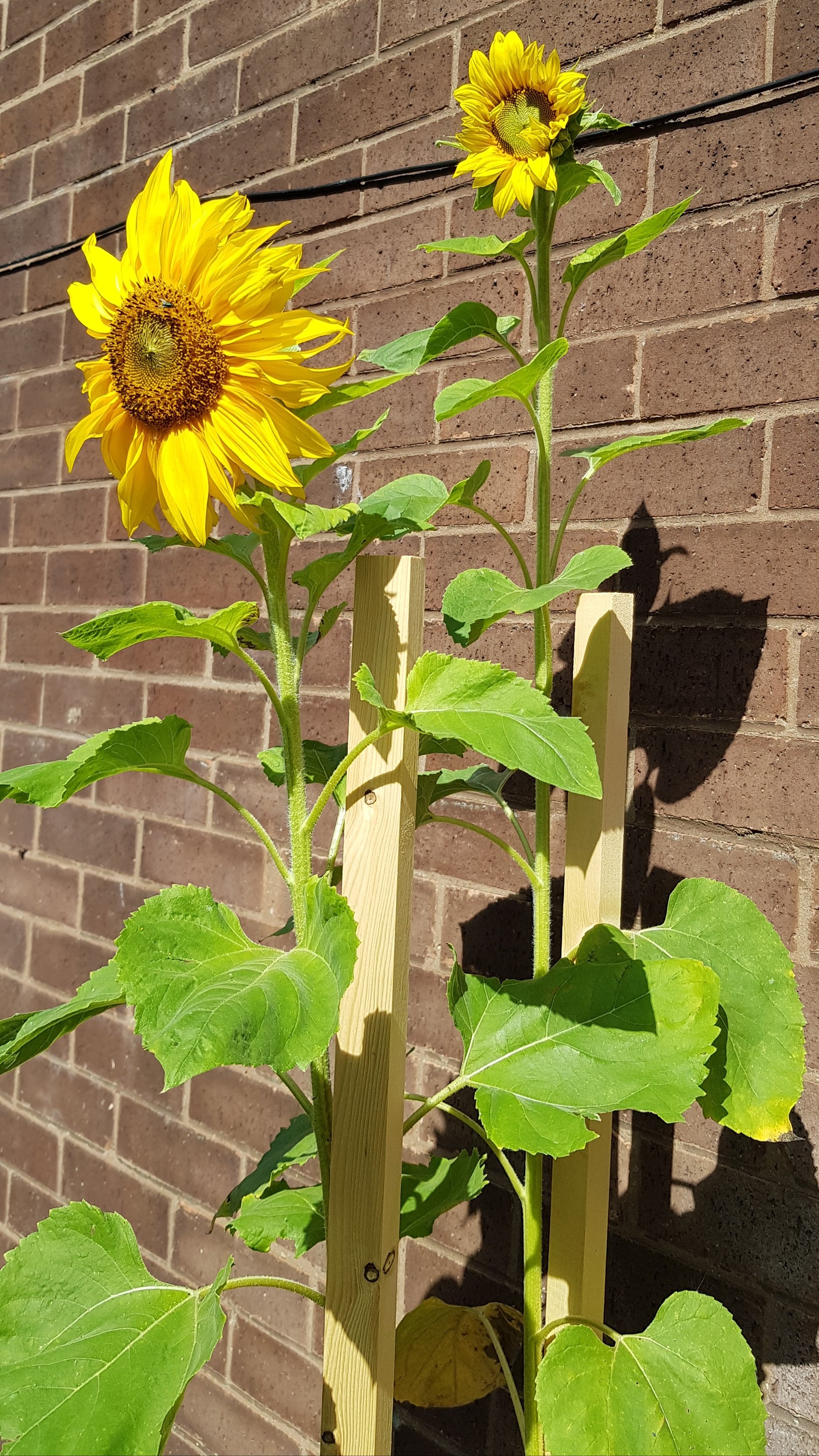 20180829_132249.jpg