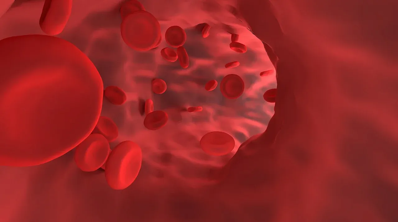 red-blood-cell-4807218_1280.webp