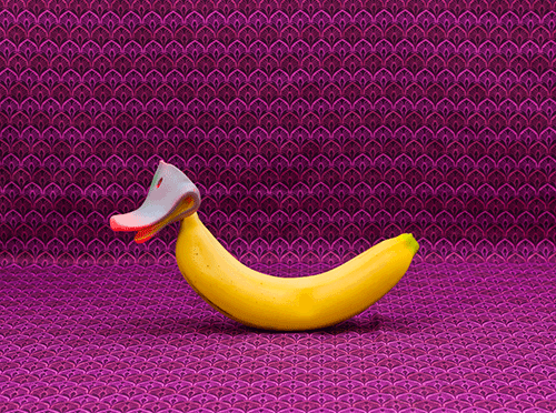 banana duckie.gif