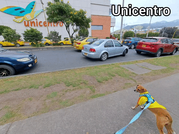 1000013539.gif