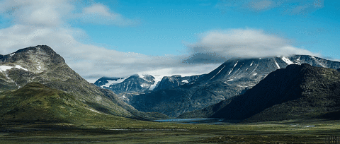 uouggu (1).gif
