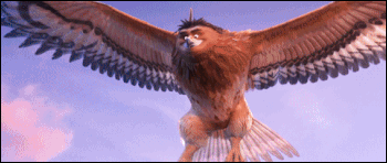 IMG_6536.gif