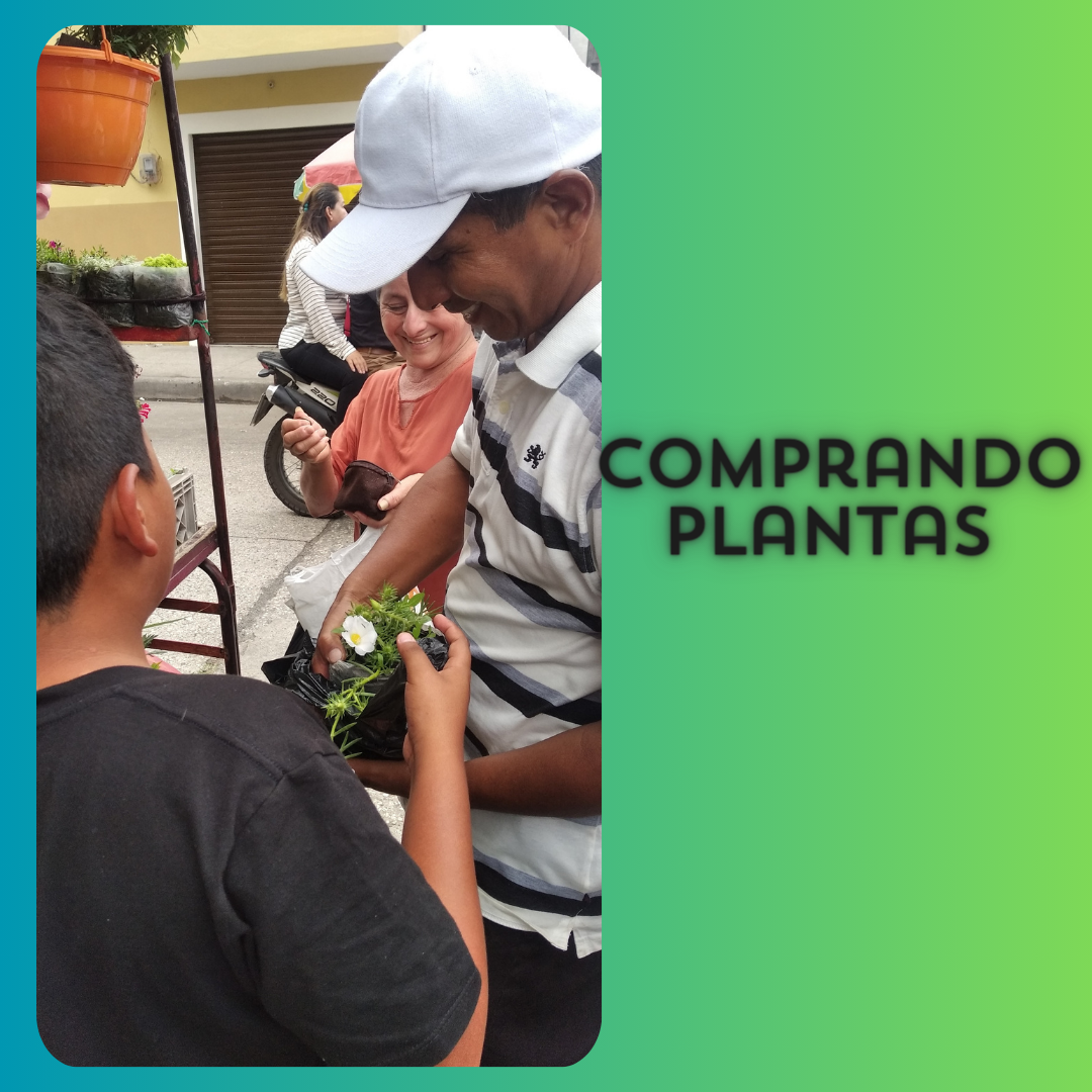 Comprando plantas.png