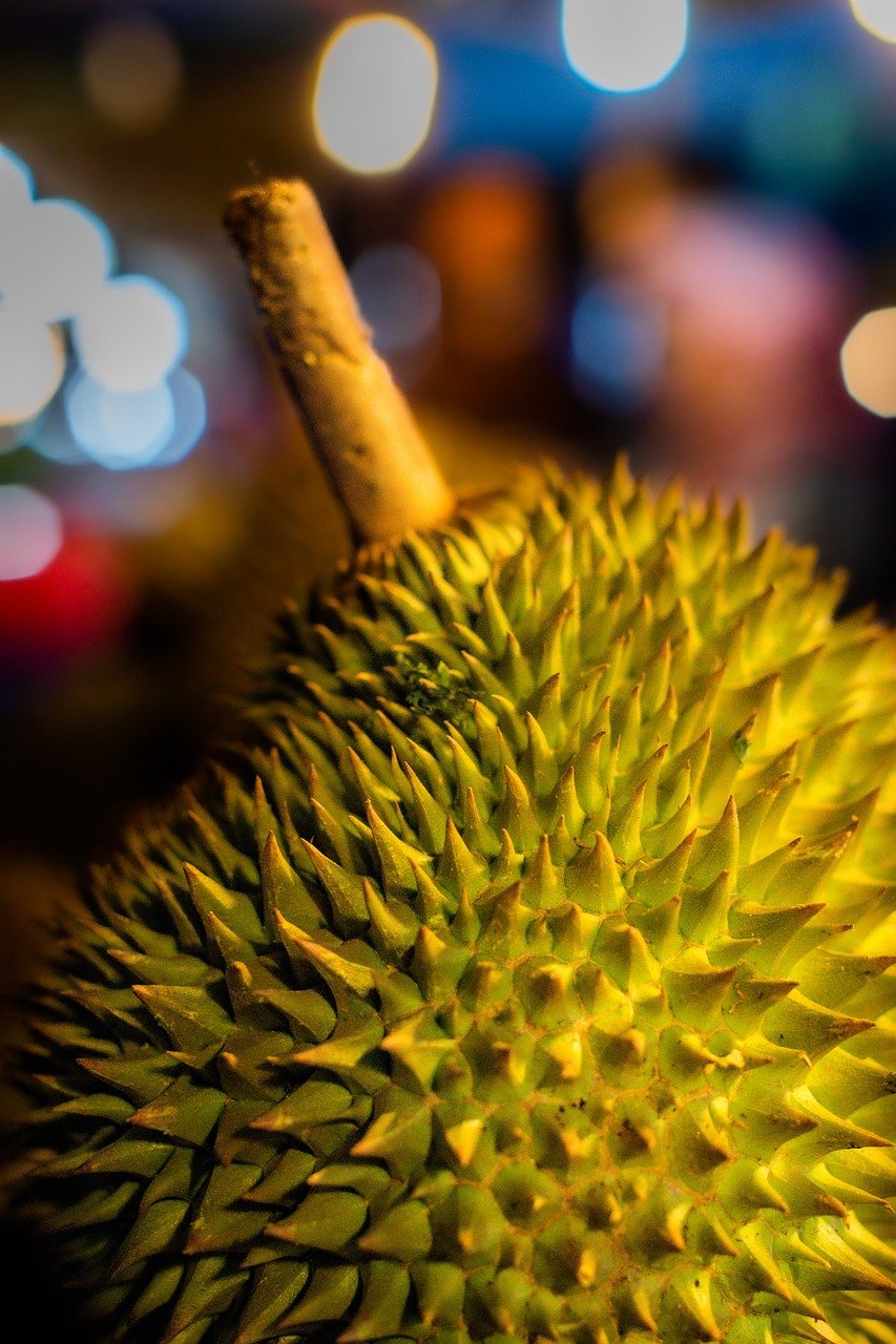 durian-4322204_1280.jpg