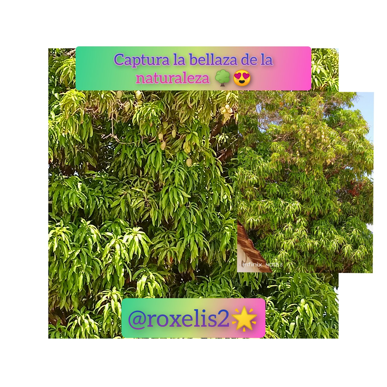CollageMaker_20210918_105114324.jpg