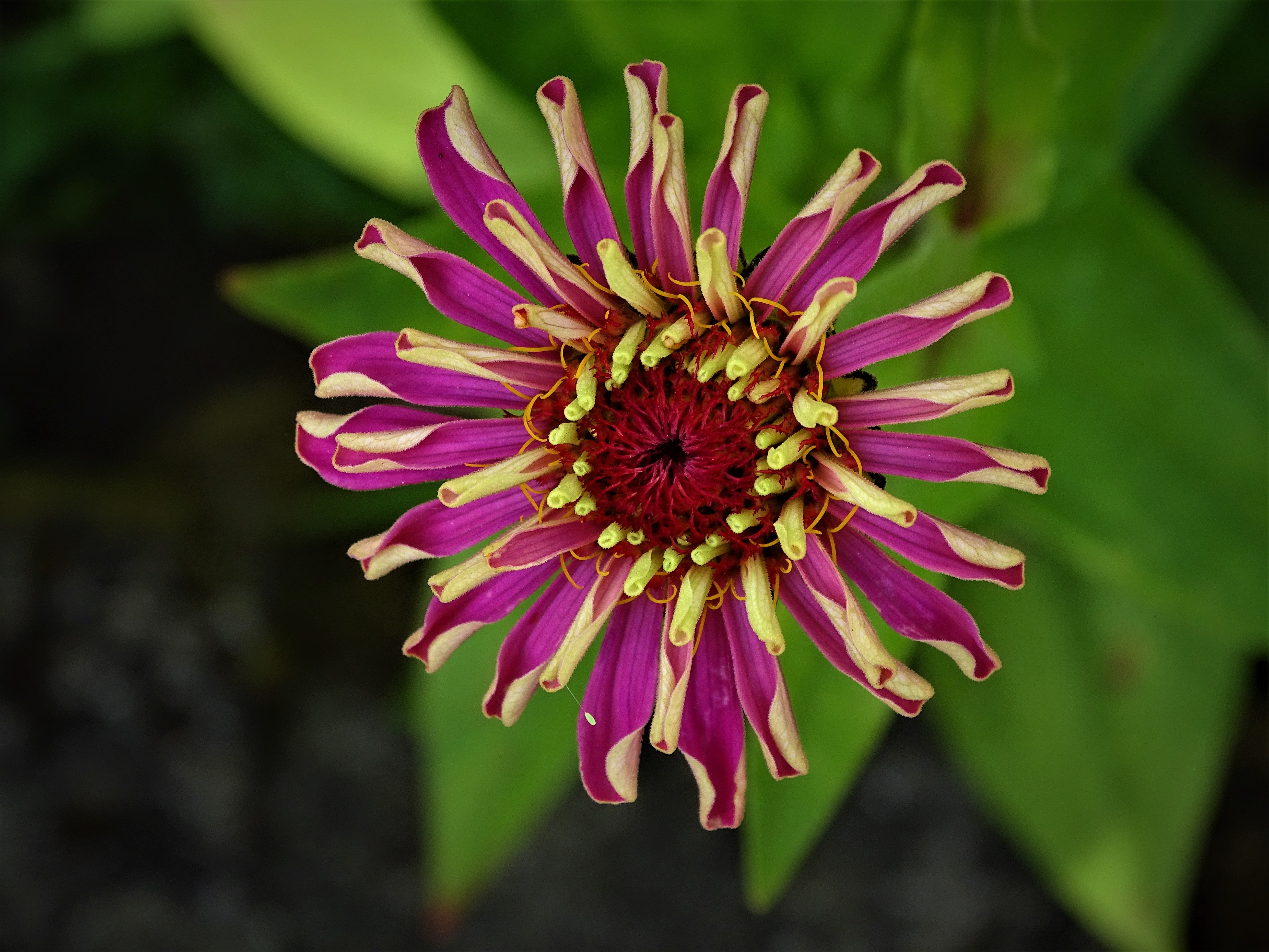 DSC02094.JPG