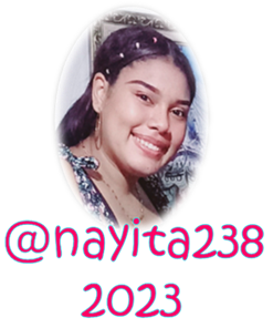 Firma nayita238.png