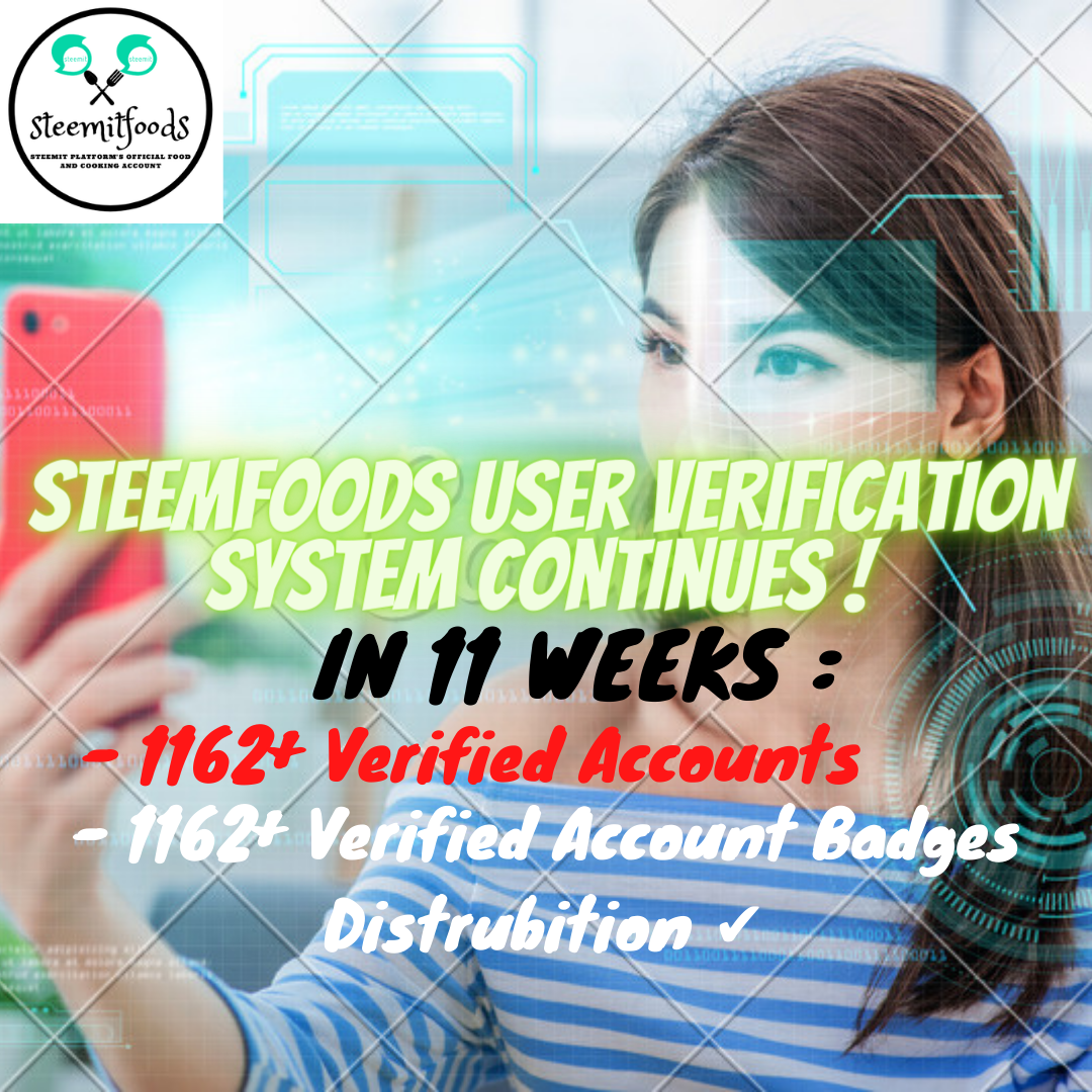 Verification System 11 Weeks.png