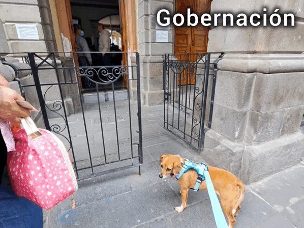 1000011431.gif