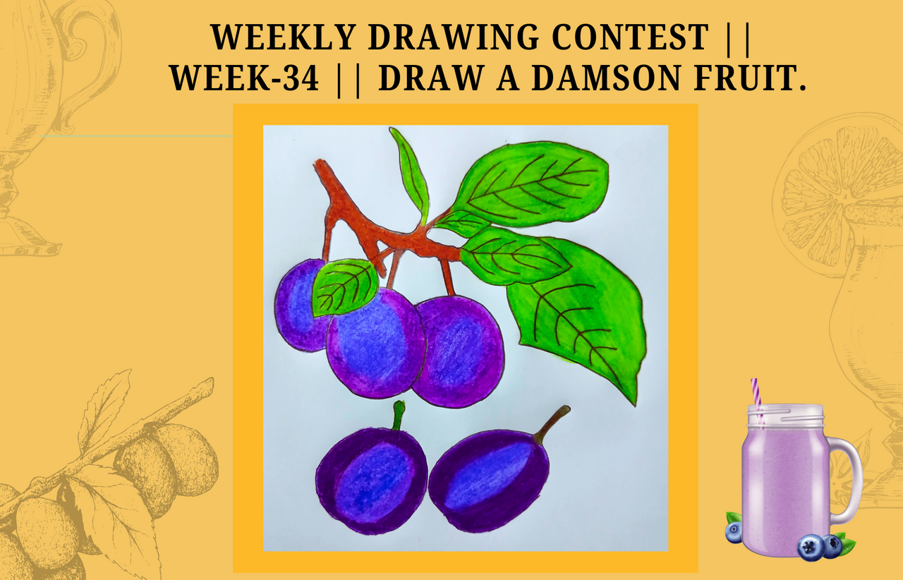 Weekly Drawing Contest  Week-34  Draw a Damson Fruit. by @zisha-hafiz.png