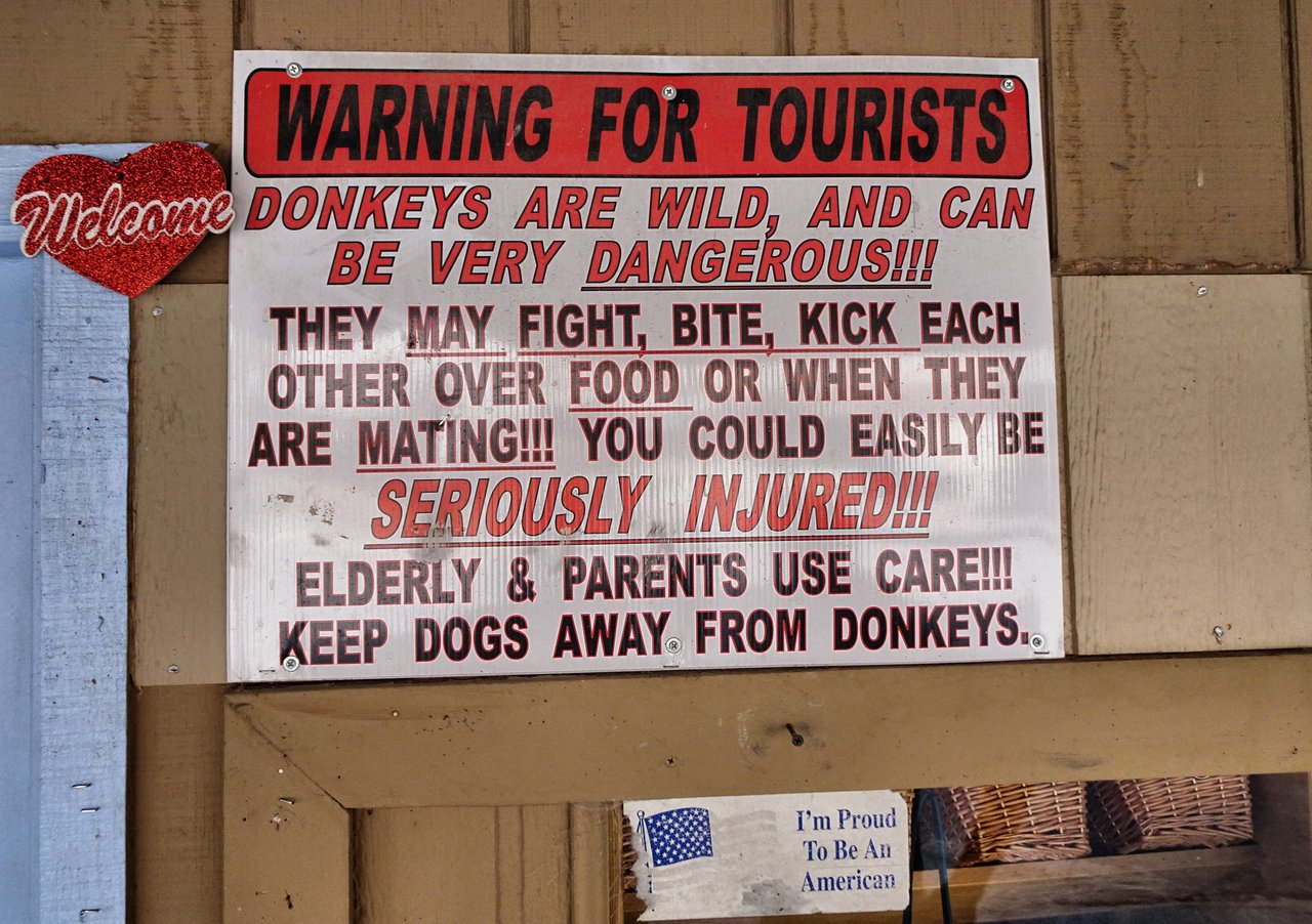 Oatman4.jpg