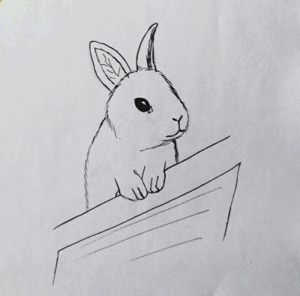 rabbiti.1..gif