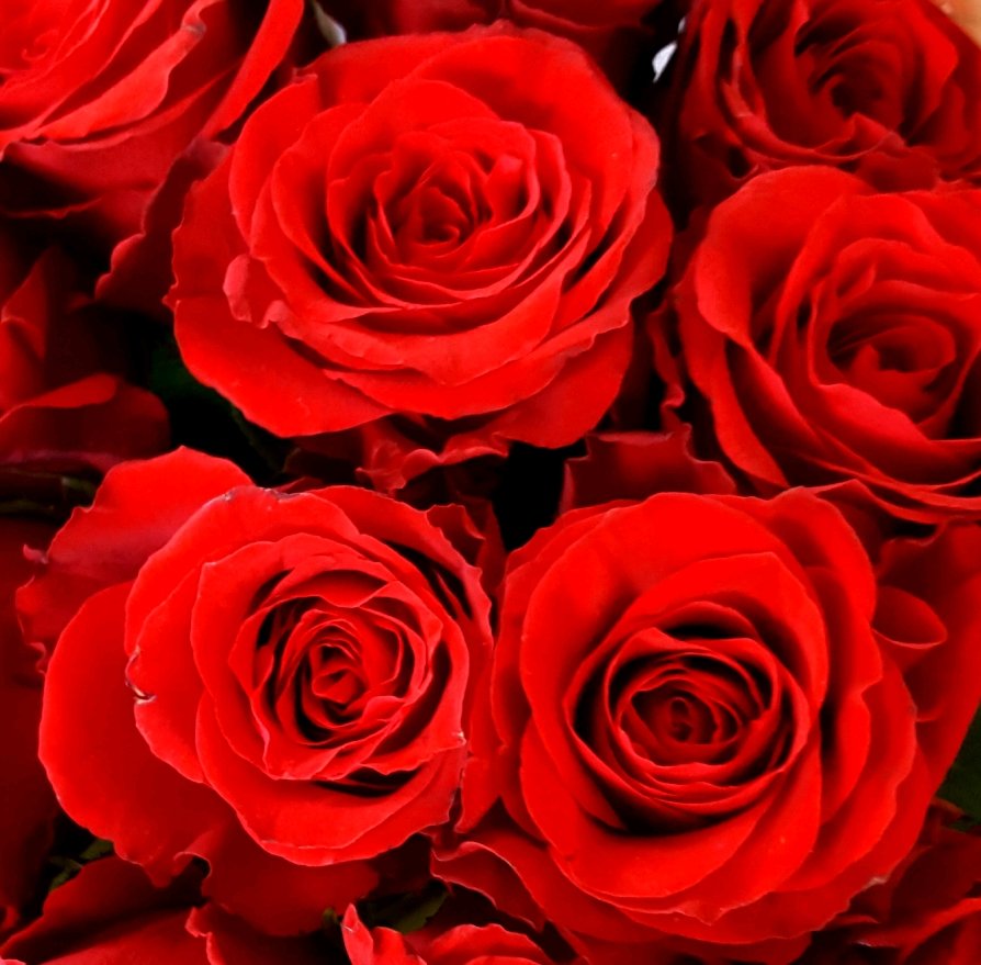 20180701_224955_crop_894x879.jpg