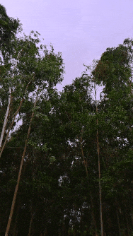 1000024546.gif