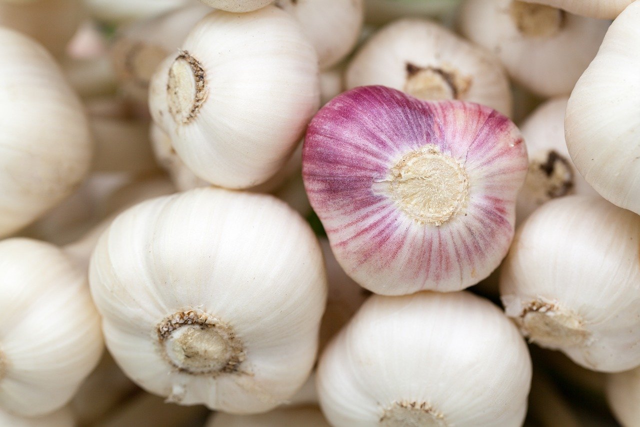 garlic-84691_1280.jpg