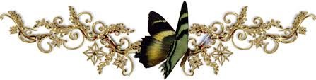 separador mariposa.jpg